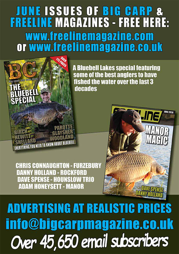 Freeline June 2026 cover image