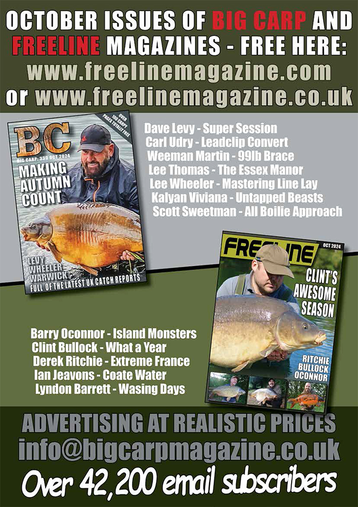 Freeline October 2024 cover image