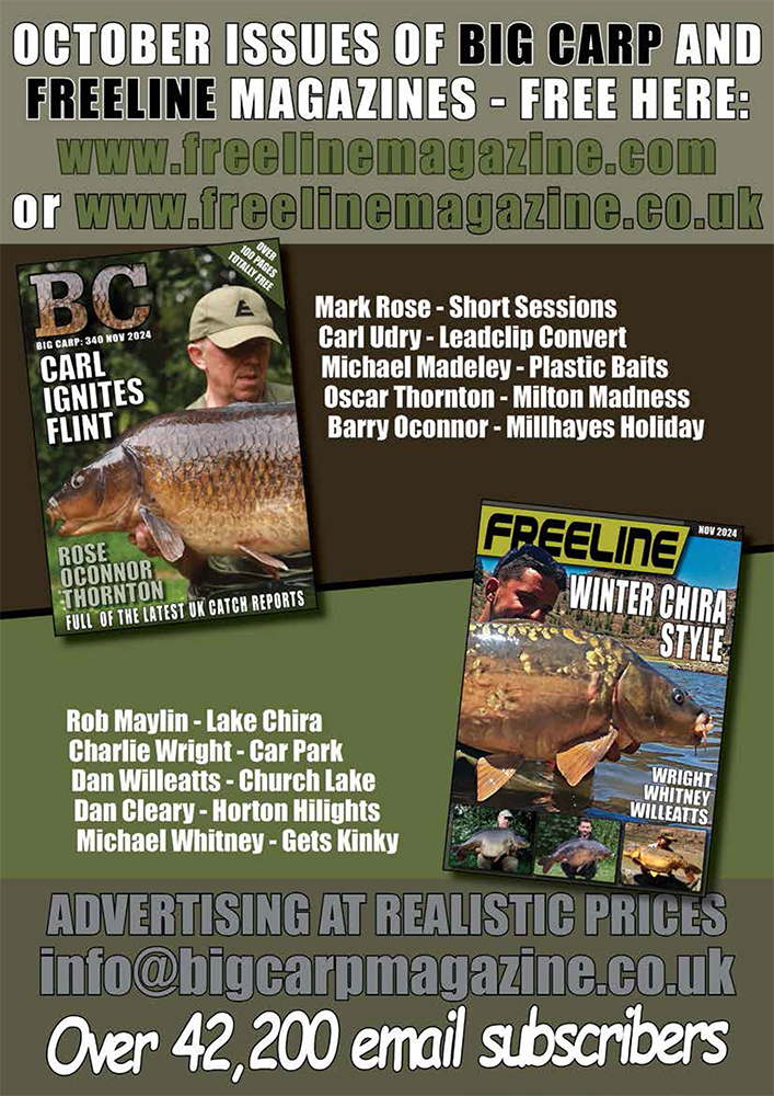 Freeline November 2024 cover image