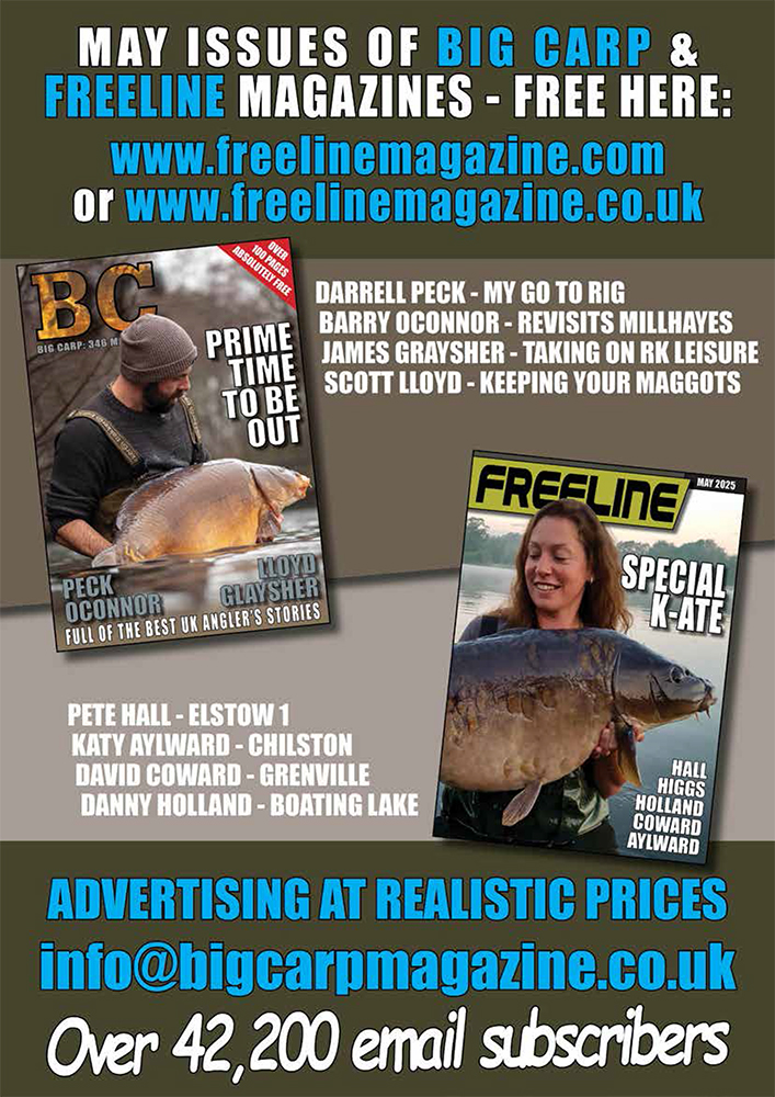 Freeline May 2025 cover image