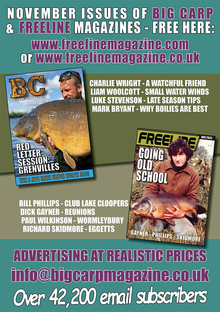 Freeline November 2025 cover image